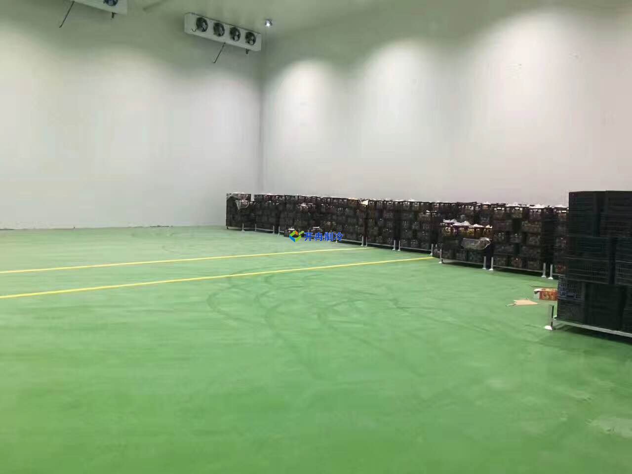 1000平蒜薹冷庫價格，蒜薹保鮮庫耗電量計算